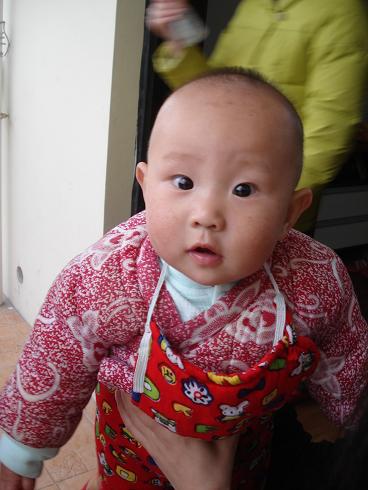 七个月零十二天