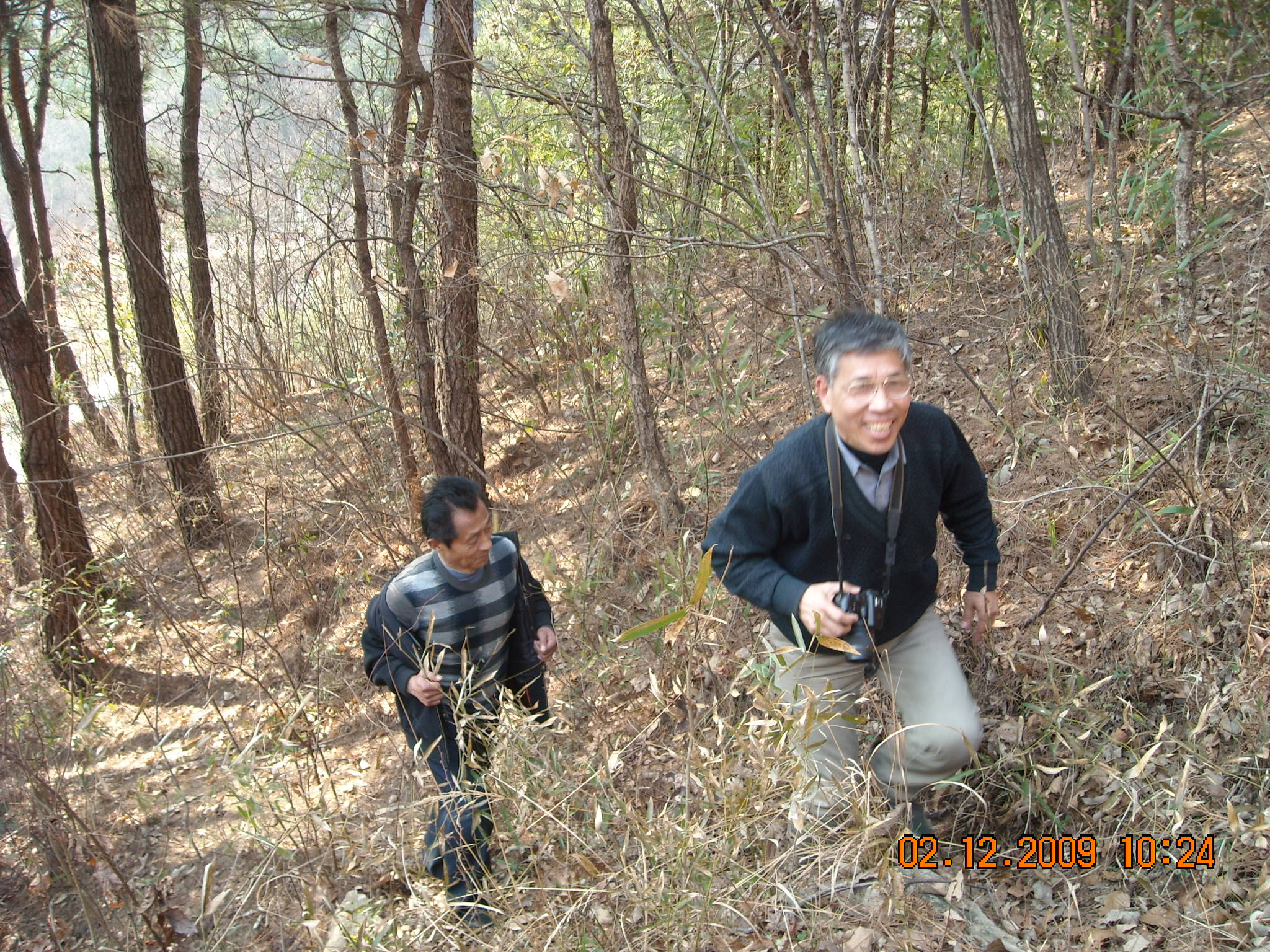 累不累文华教授