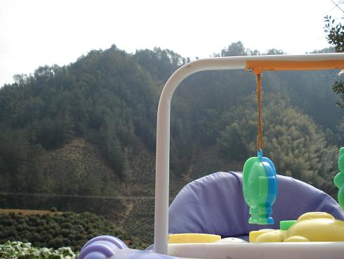 汪常昊在木岭后，将是他人生中的美好回忆。