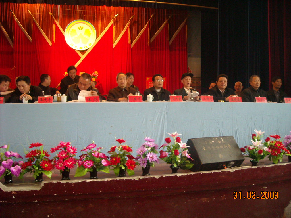 大会上潜山汪传碧[90]发言讲话