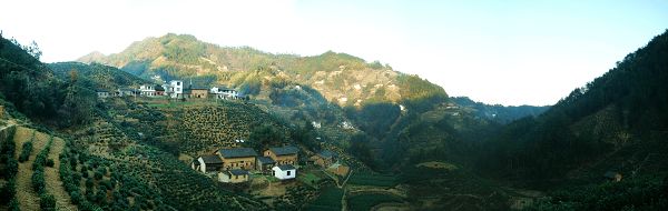 木岭后村局部图