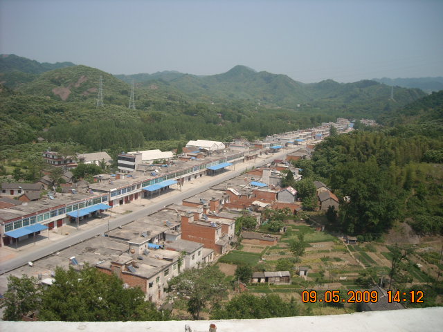 金寨板栗大市场------船冲大市场年销售板栗上千吨，销往世界各地是金寨绿色保健食品