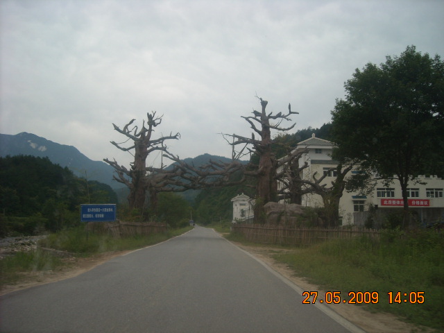 皖西小黄山----天堂寨大树门