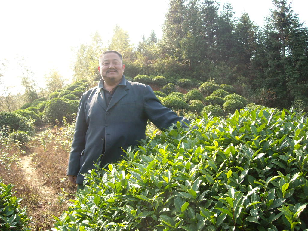 胖子道生在休宁旌城村寻根问祖，多好的茶叶！