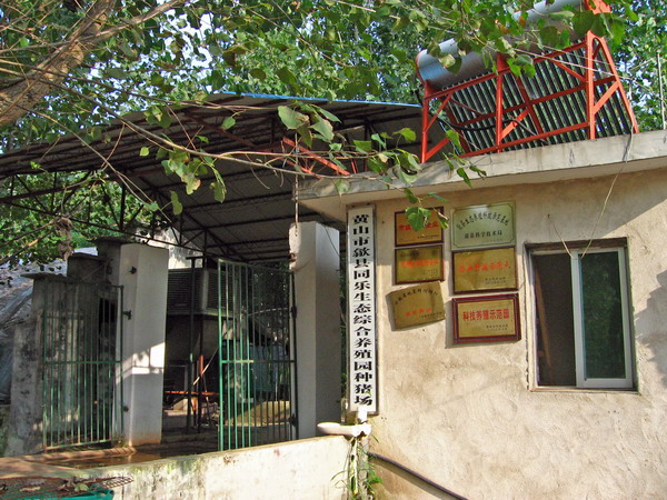 同乐生态养殖园种猪场