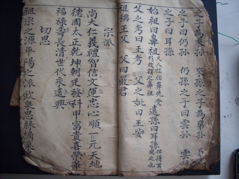 祖宗之源平阳之派