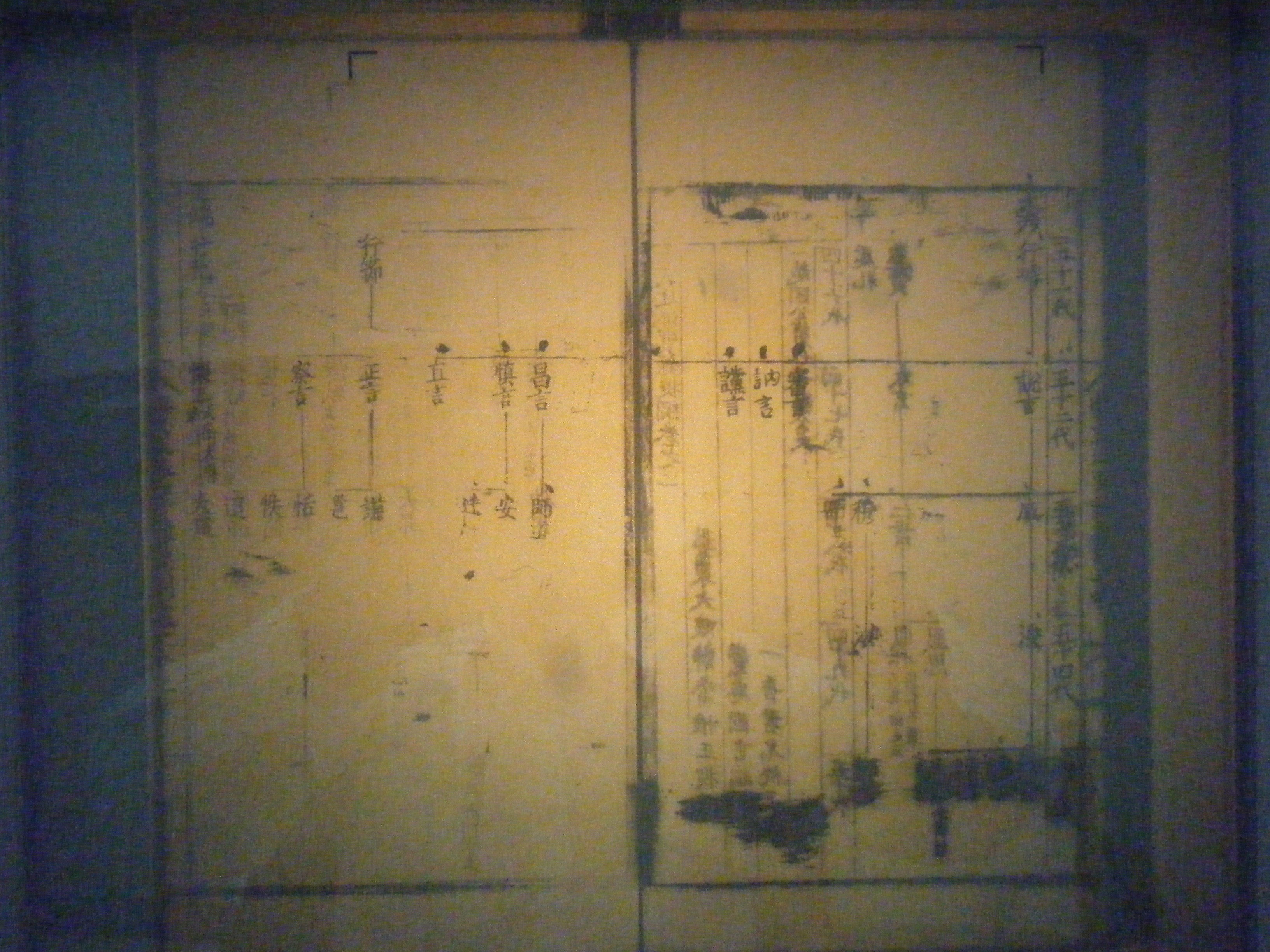 皖图馆藏-汪氏迁派实录提纲