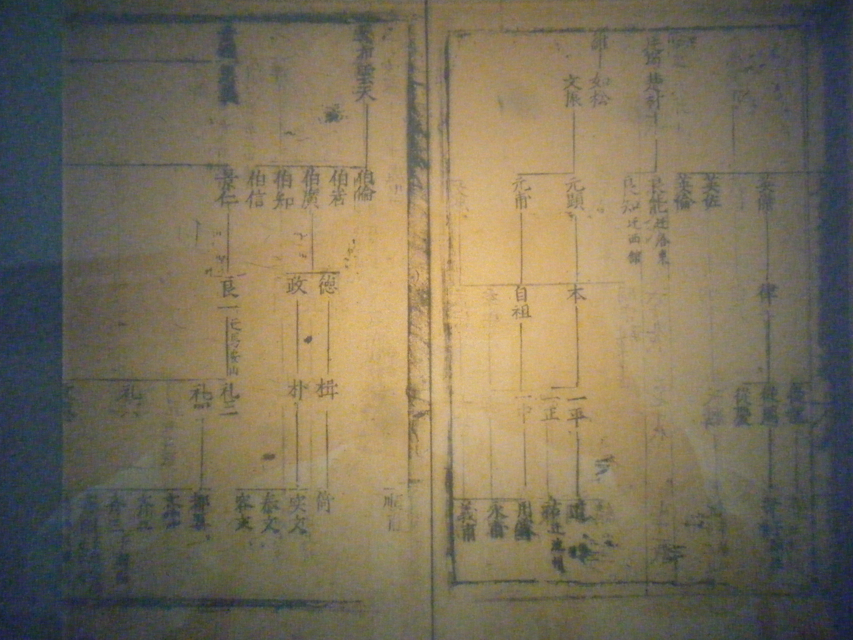 皖图馆藏-汪氏迁派实录提纲