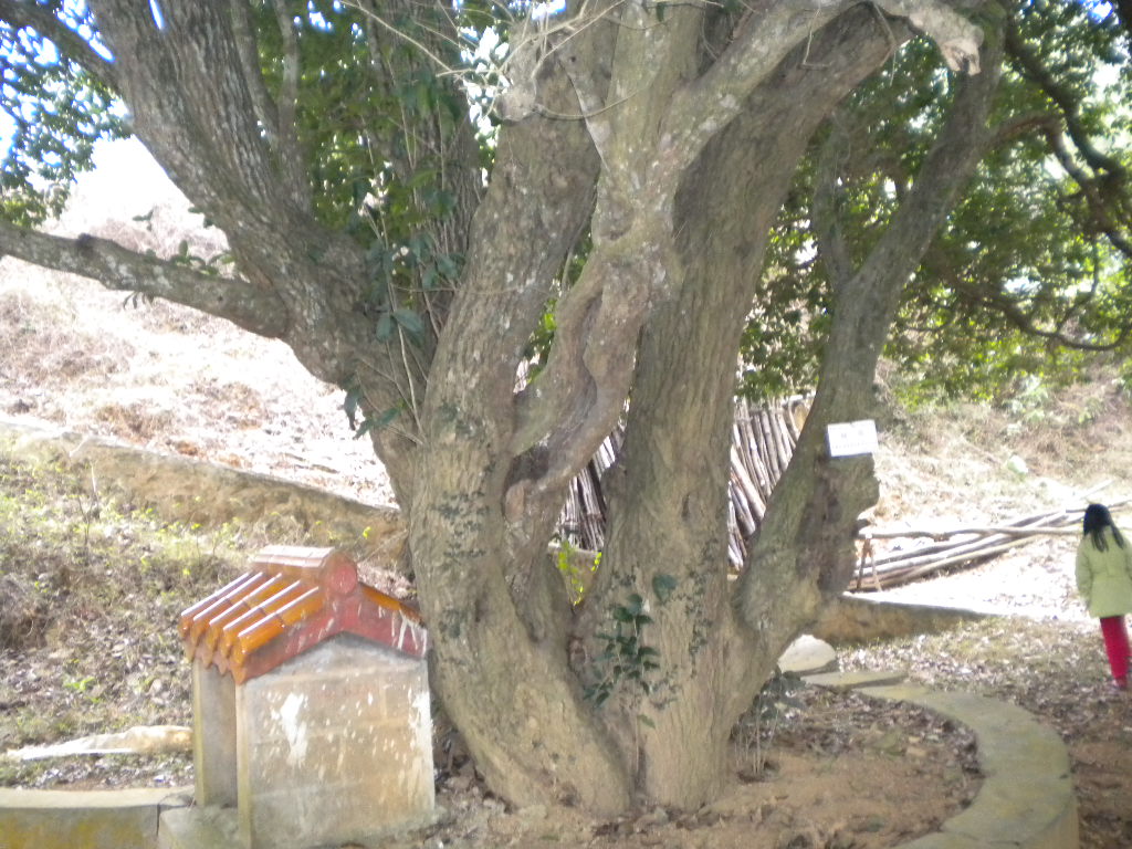 我的照片 022.jpg