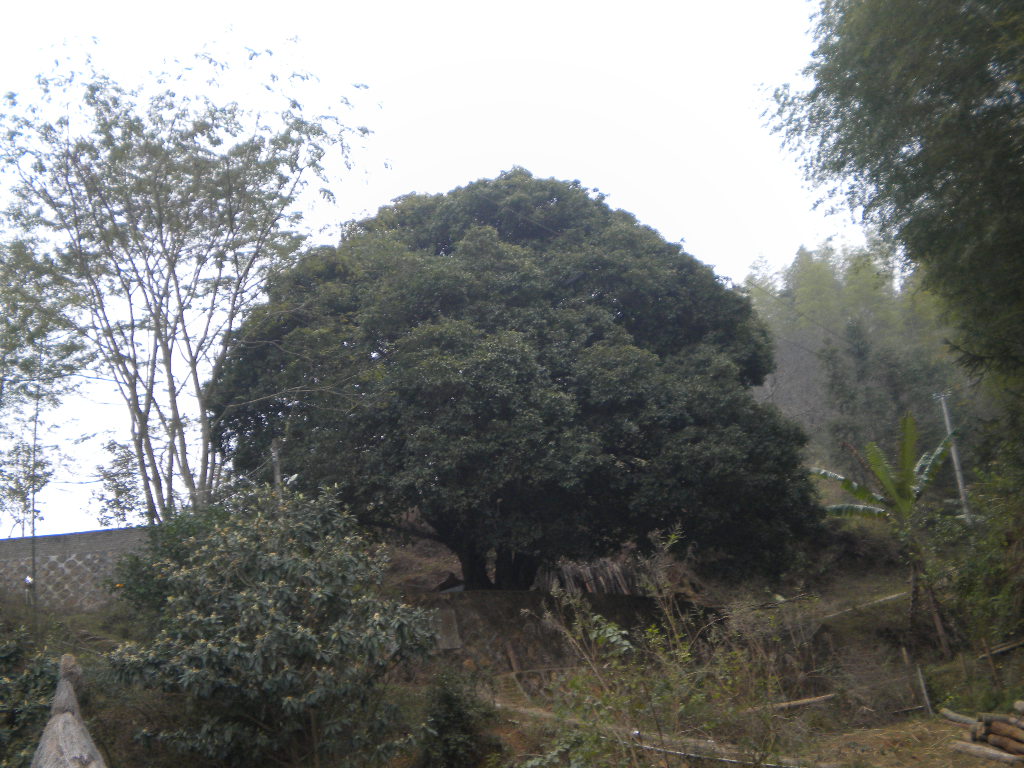 我的照片 028.jpg