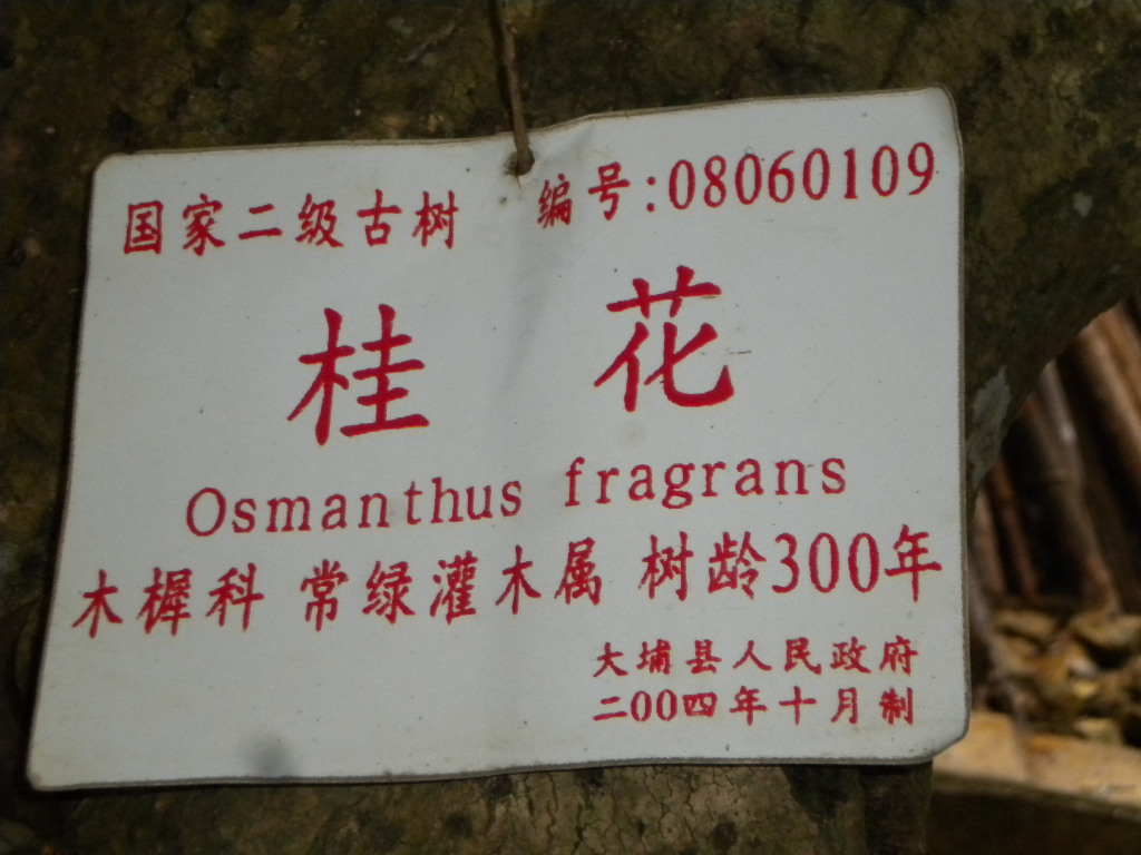 我的照片 023.jpg