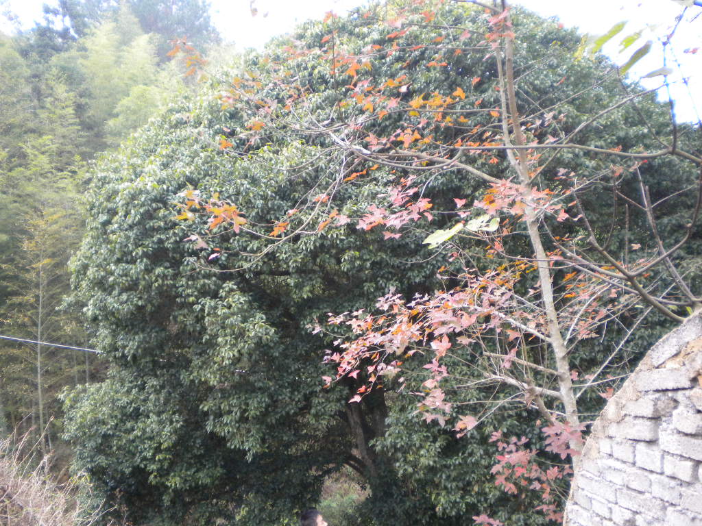 我的照片 024.jpg