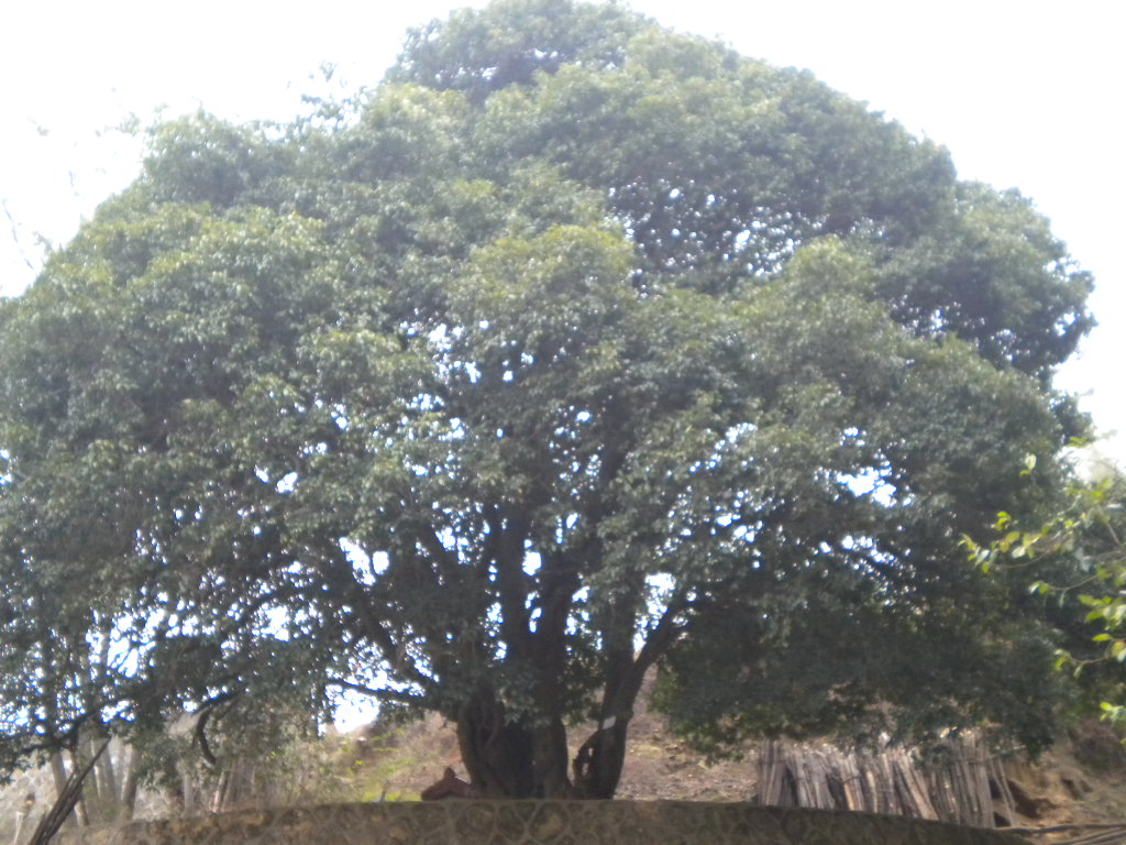 我的照片 027.jpg