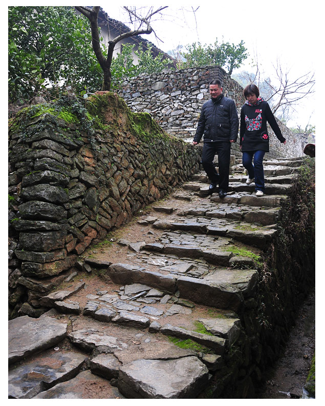 村书记和央视主持人漫步青石路