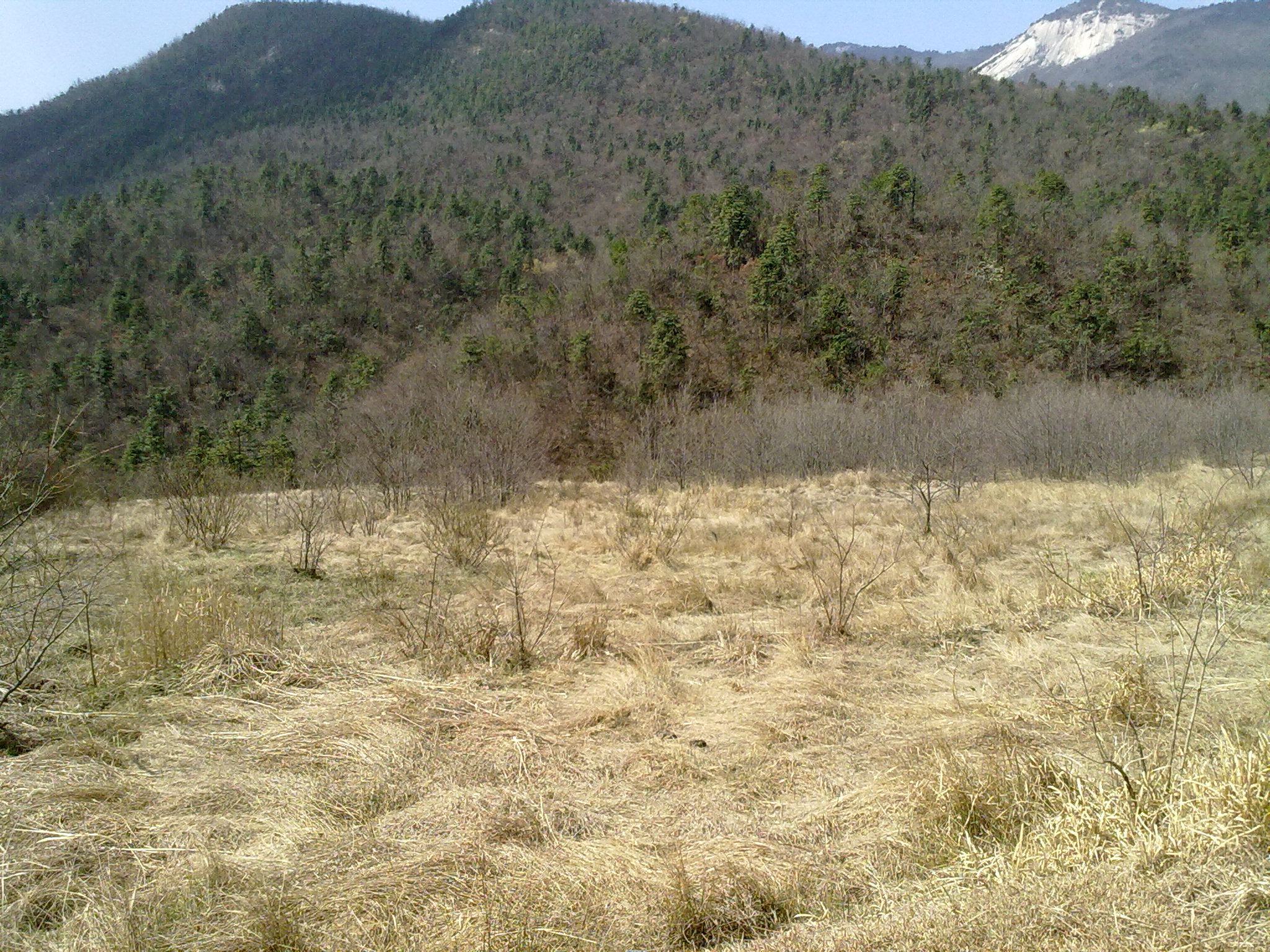 昔日田庄杂草丛生