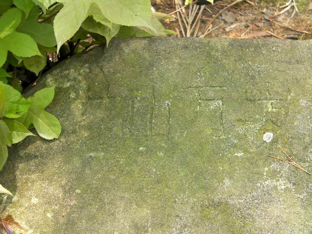 100507花山 (27).JPG