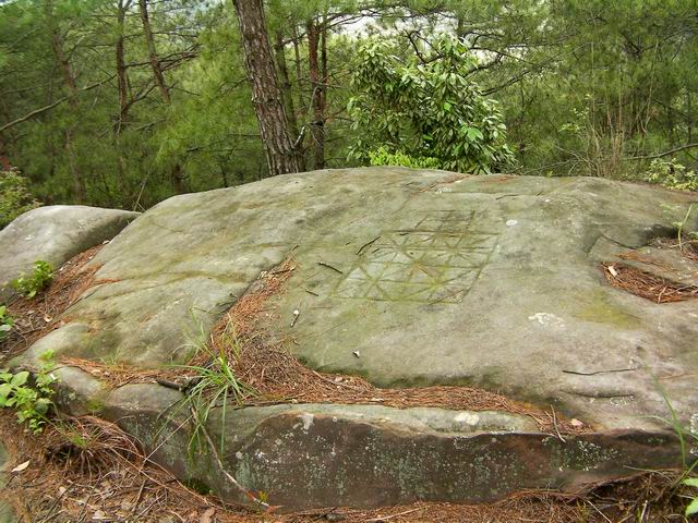 100507花山 (2).JPG