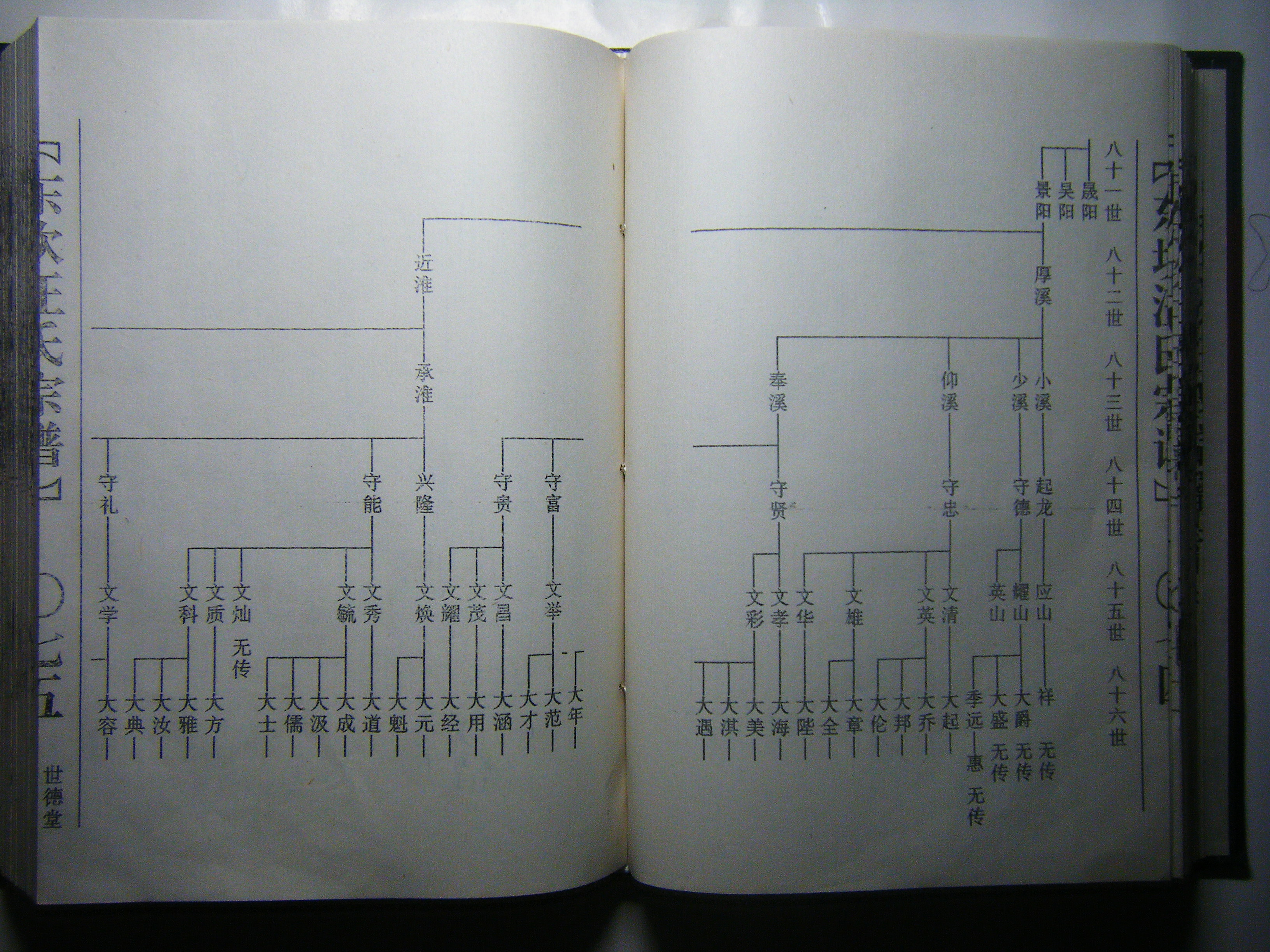 81—86世 世系图