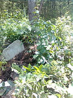 汪国举父之墓1？-13