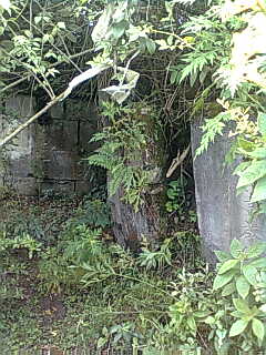 左汪瑞彩墓右汪启俊墓-30