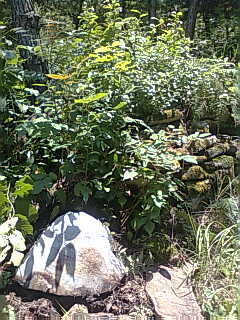 汪国举父之墓2？-14