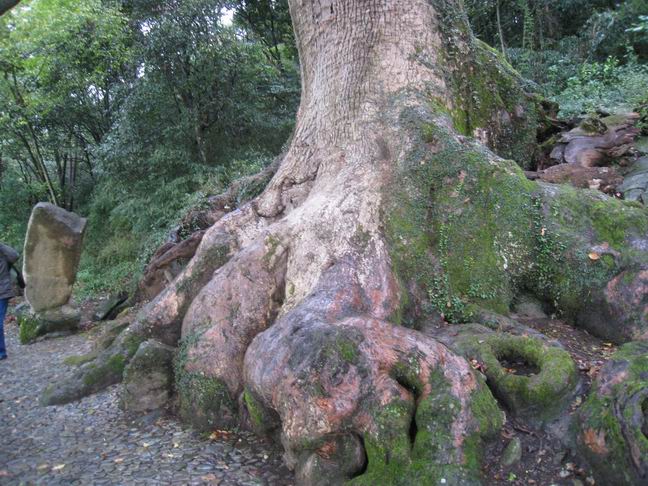 调整大小 IMG_2250.JPG