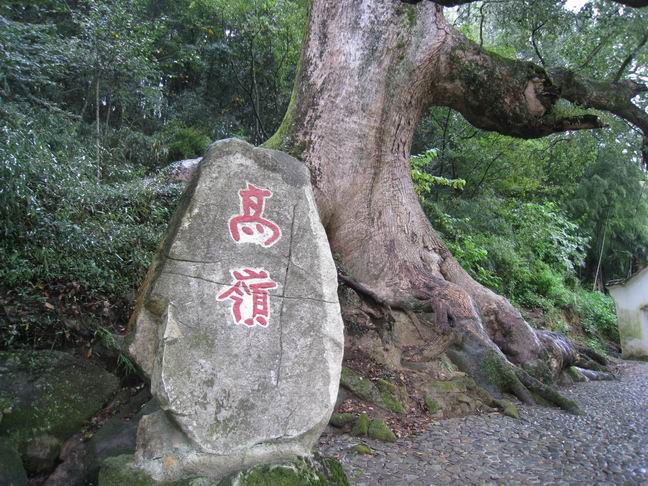 调整大小 IMG_2247.JPG