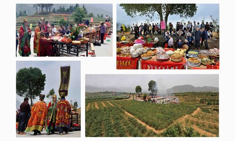 中国茶叶第一镇——感德