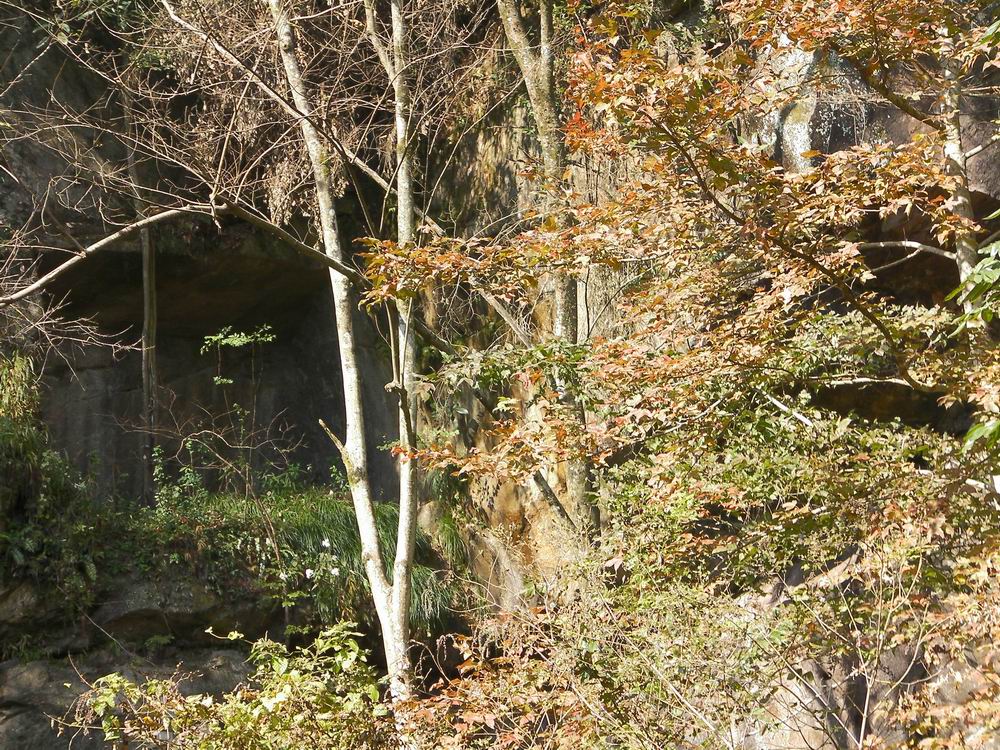 调整大小 石壁霜叶.JPG