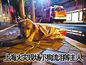 沉痛哀悼上海火灾遇难同胞！