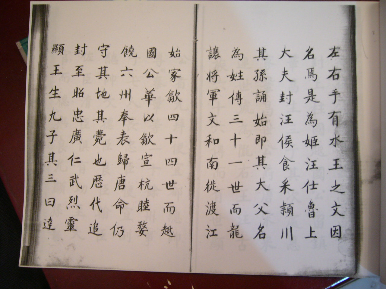 06.7漳县汪氏族谱 010.jpg