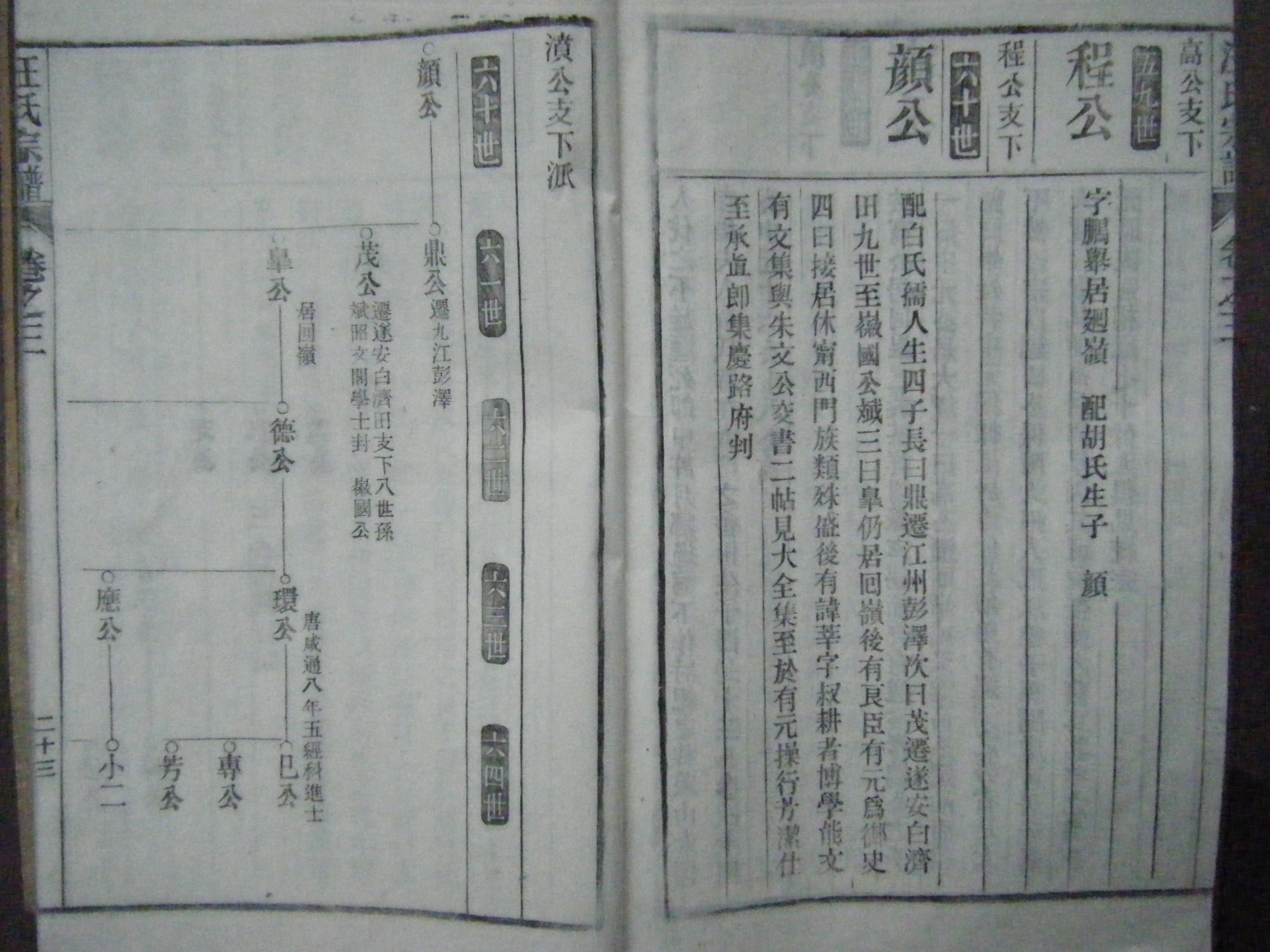 茶溪汪氏祖脉及刘街傩神大会 042.jpg