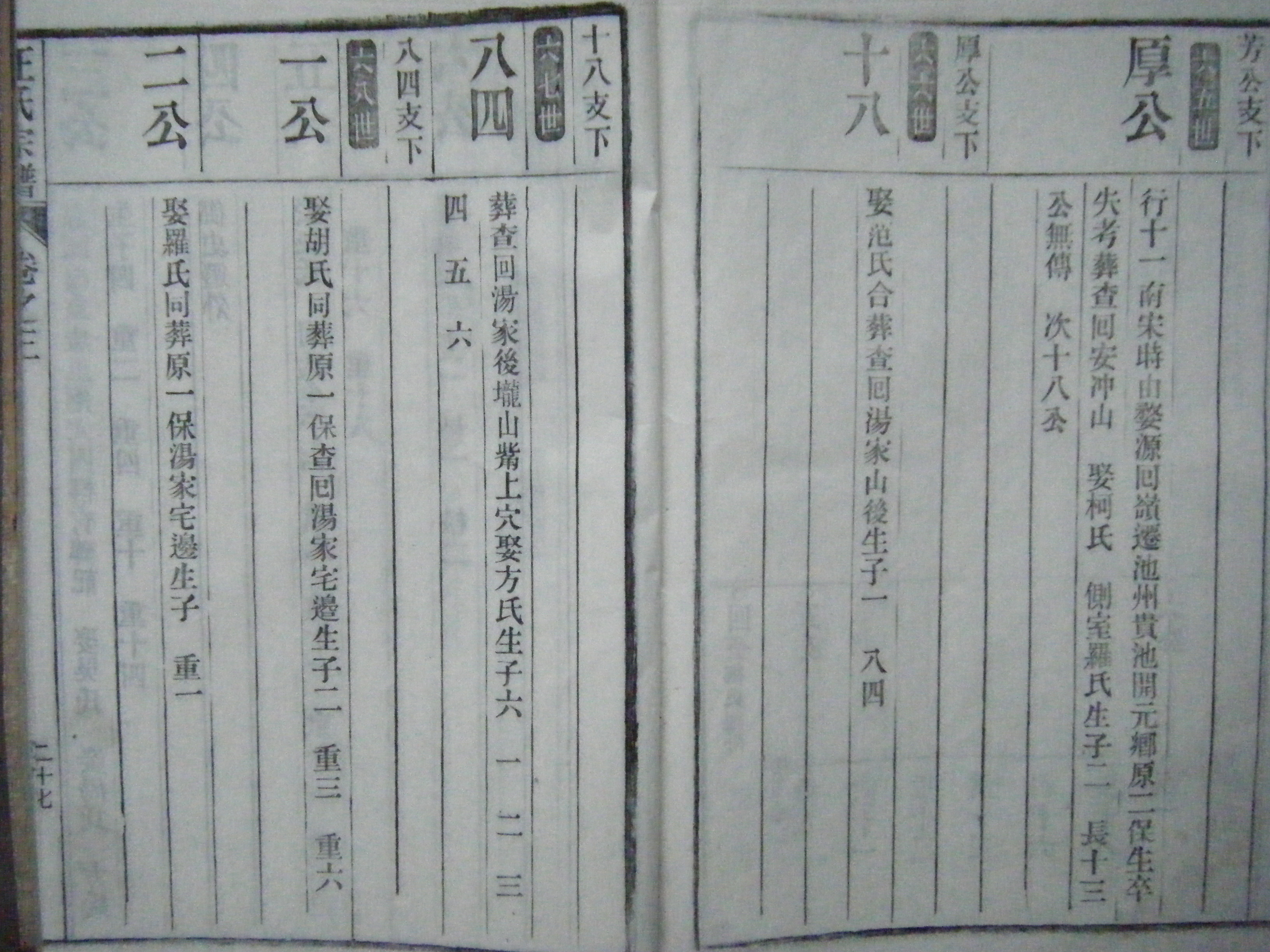 茶溪汪氏祖脉及刘街傩神大会 046.jpg