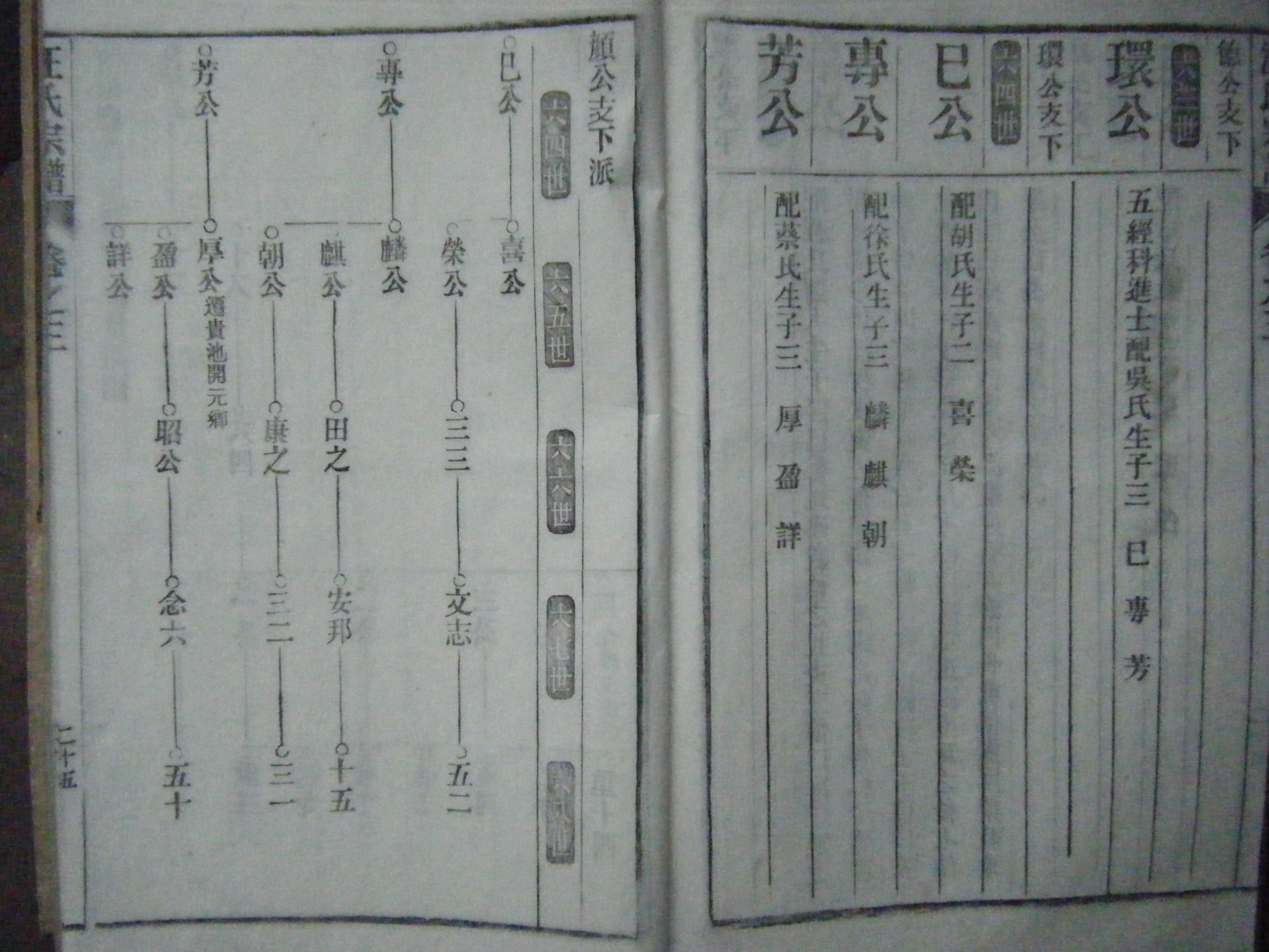 茶溪汪氏祖脉及刘街傩神大会 044.jpg