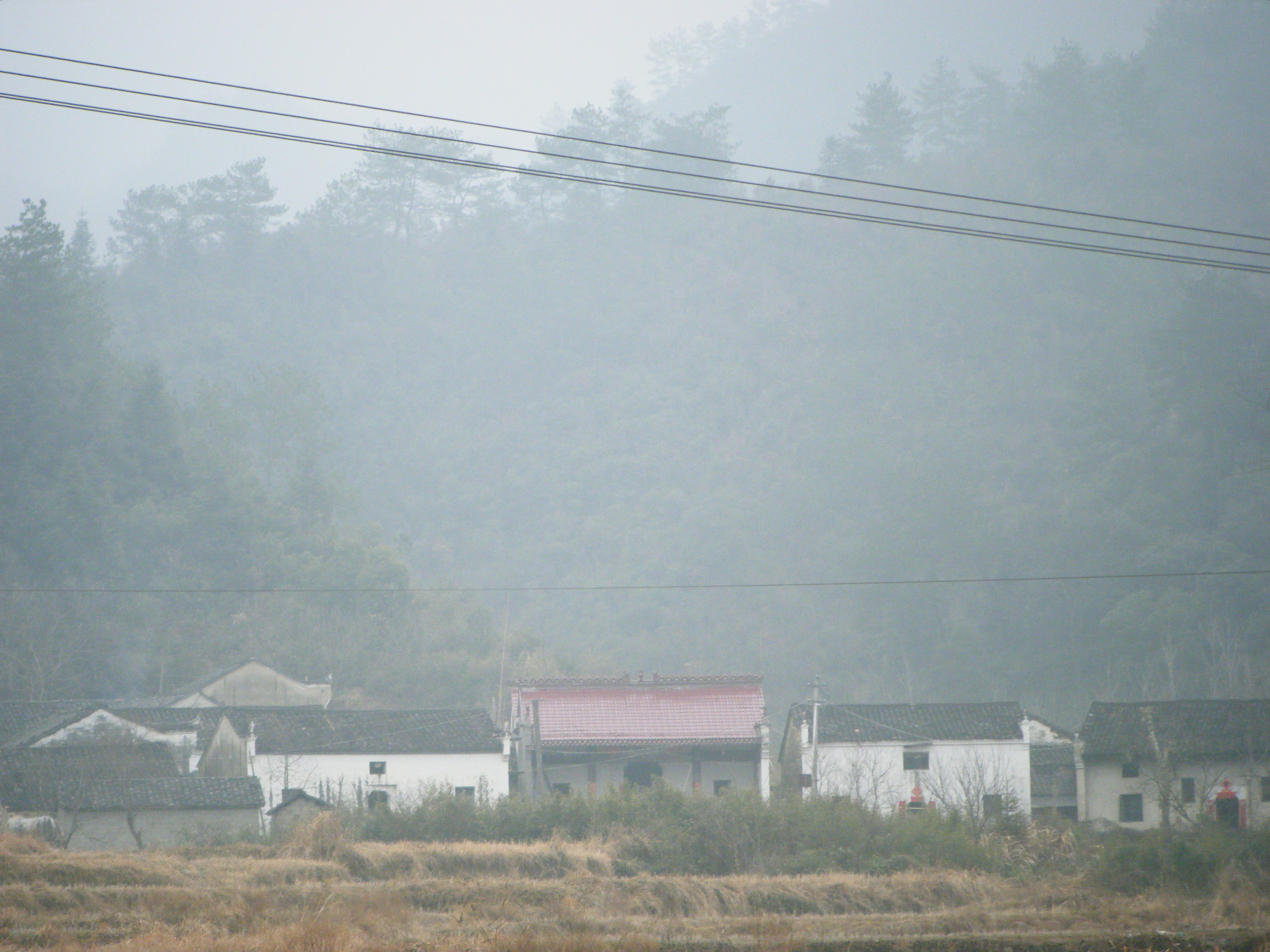 茶溪汪氏宗祠 (远景,中间的红瓦房)