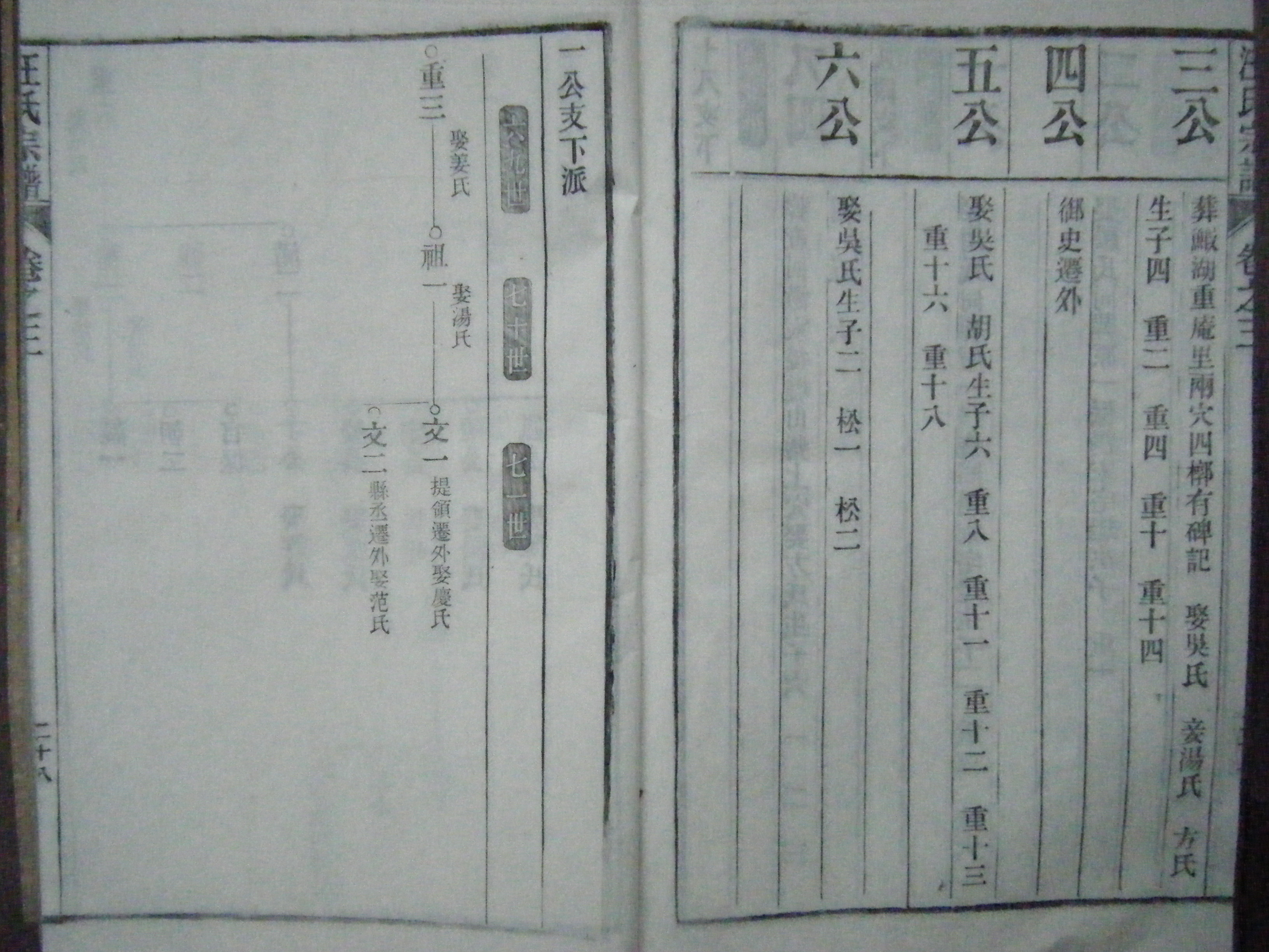 茶溪汪氏祖脉及刘街傩神大会 047.jpg