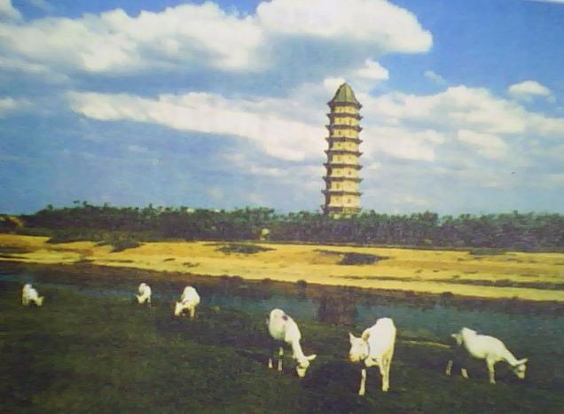 三十年前的临清舍利宝塔远景