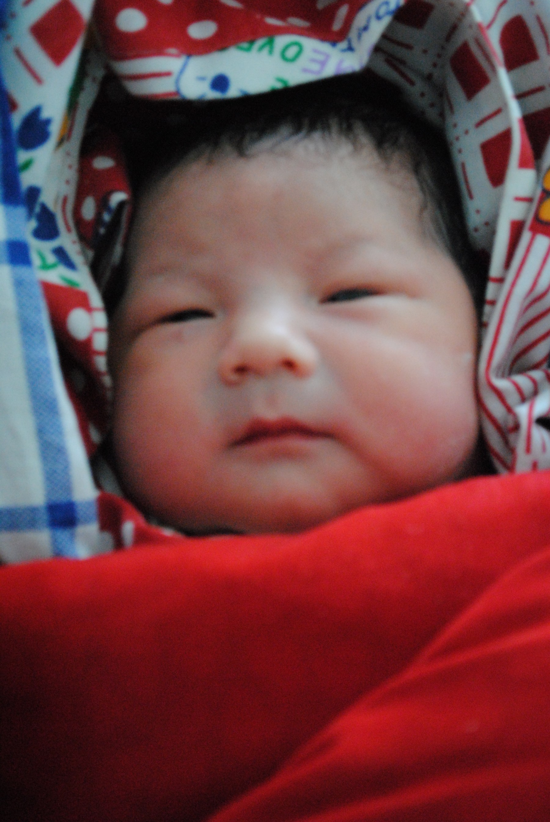 我儿子，初九生的