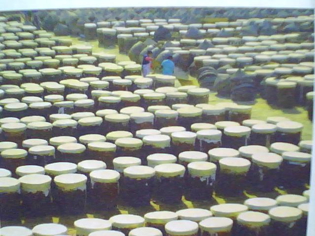 临清济美酱园厂区