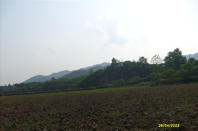 肥沃的良田因干旱无法扦秧