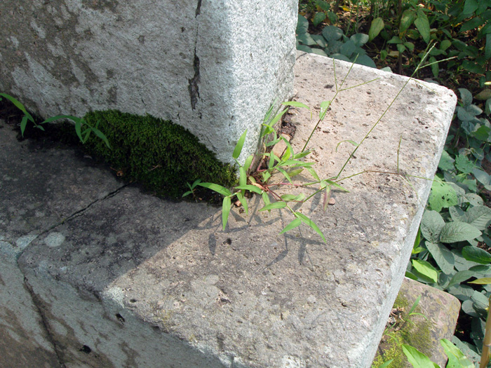 牌坊石柱下的石墩已经断裂，铁锲子仍牢牢地固定在柱缝里。