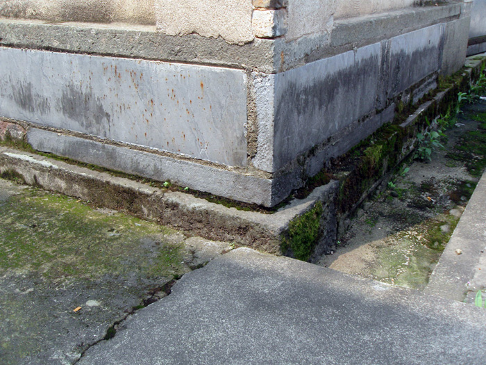 祠堂的旧条石随处可见，由此看出，当时的金紫祠规模不小，用料的考究。