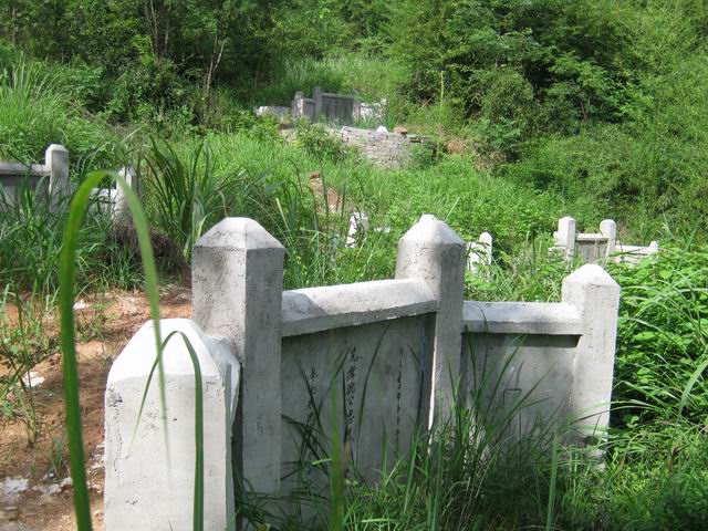 调整大小 IMG_2858.jpg