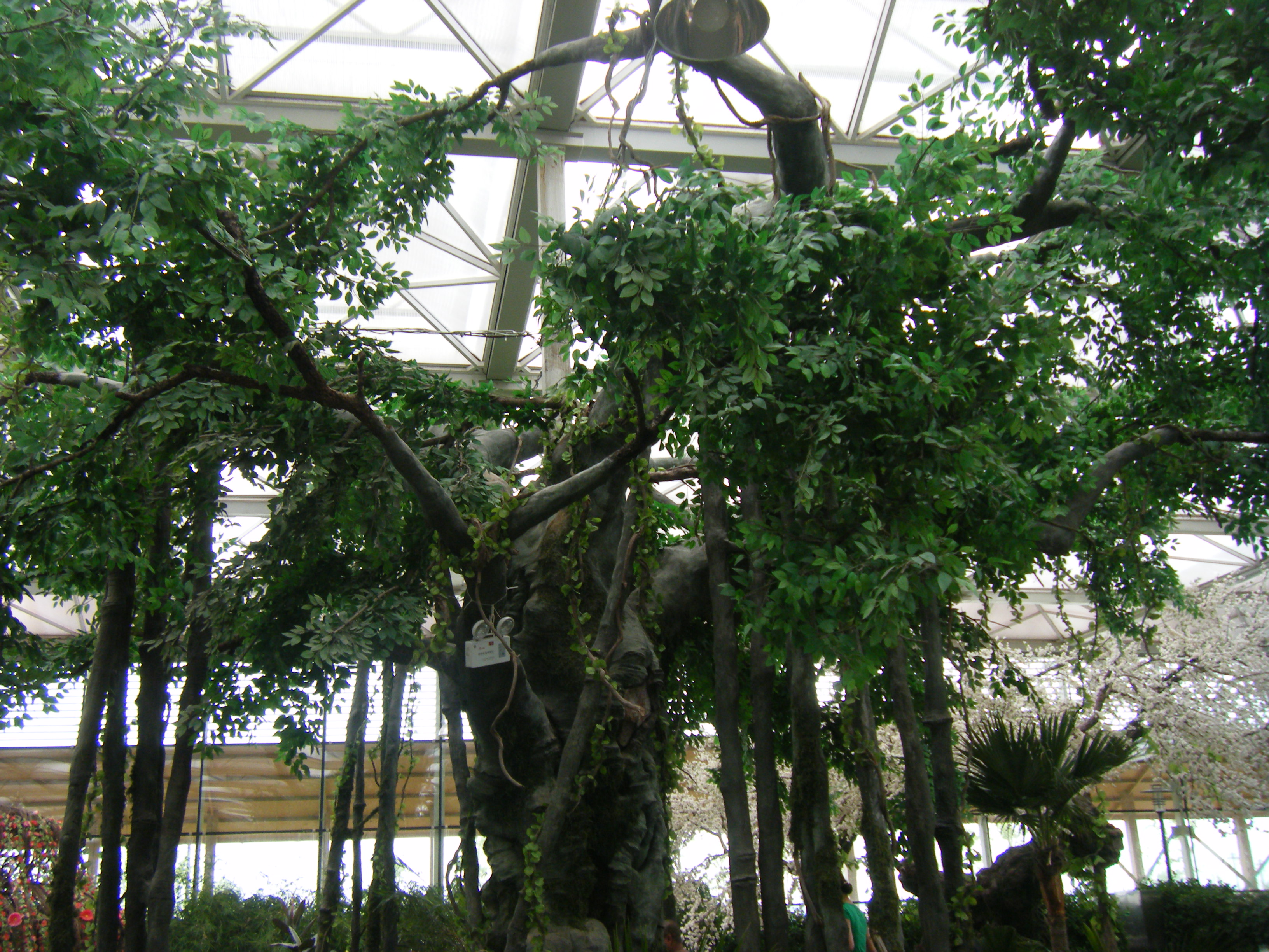 南陵大浦乡村世界——大浦绿洲生态美食园 015.jpg