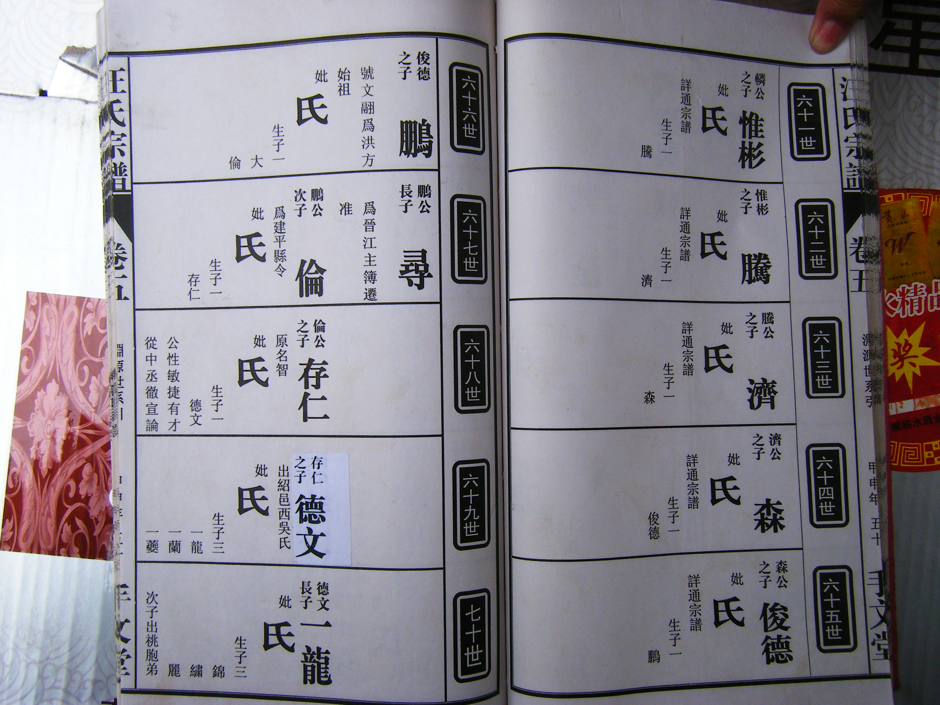 六安手文堂宗谱：惟彬-腾-济-森-俊德-鹏-伦-存仁-德文-一龙