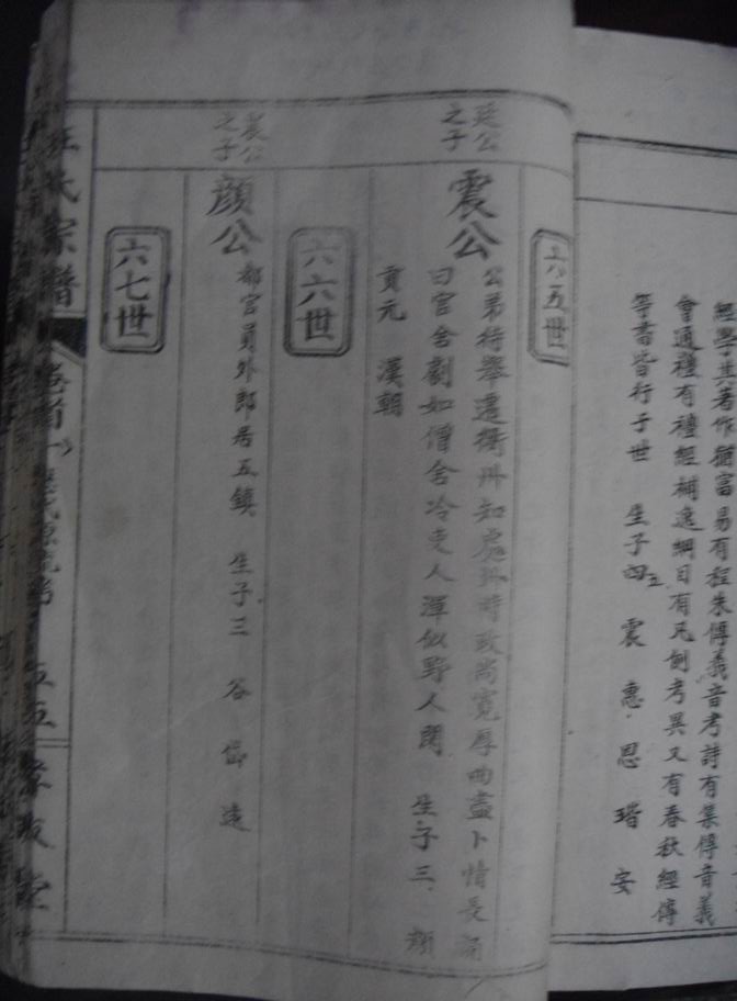 旋转 调整大小 DSC00037.JPG