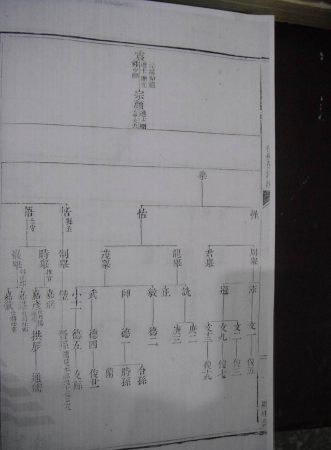 旋转 调整大小 DSC00043.JPG