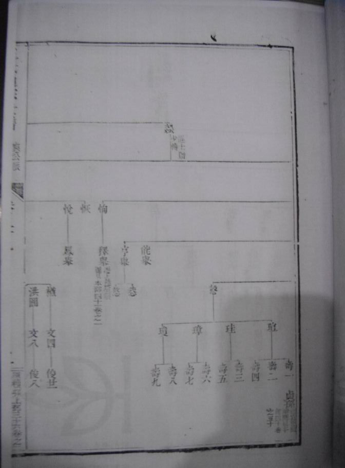 旋转 调整大小 DSC00044.JPG