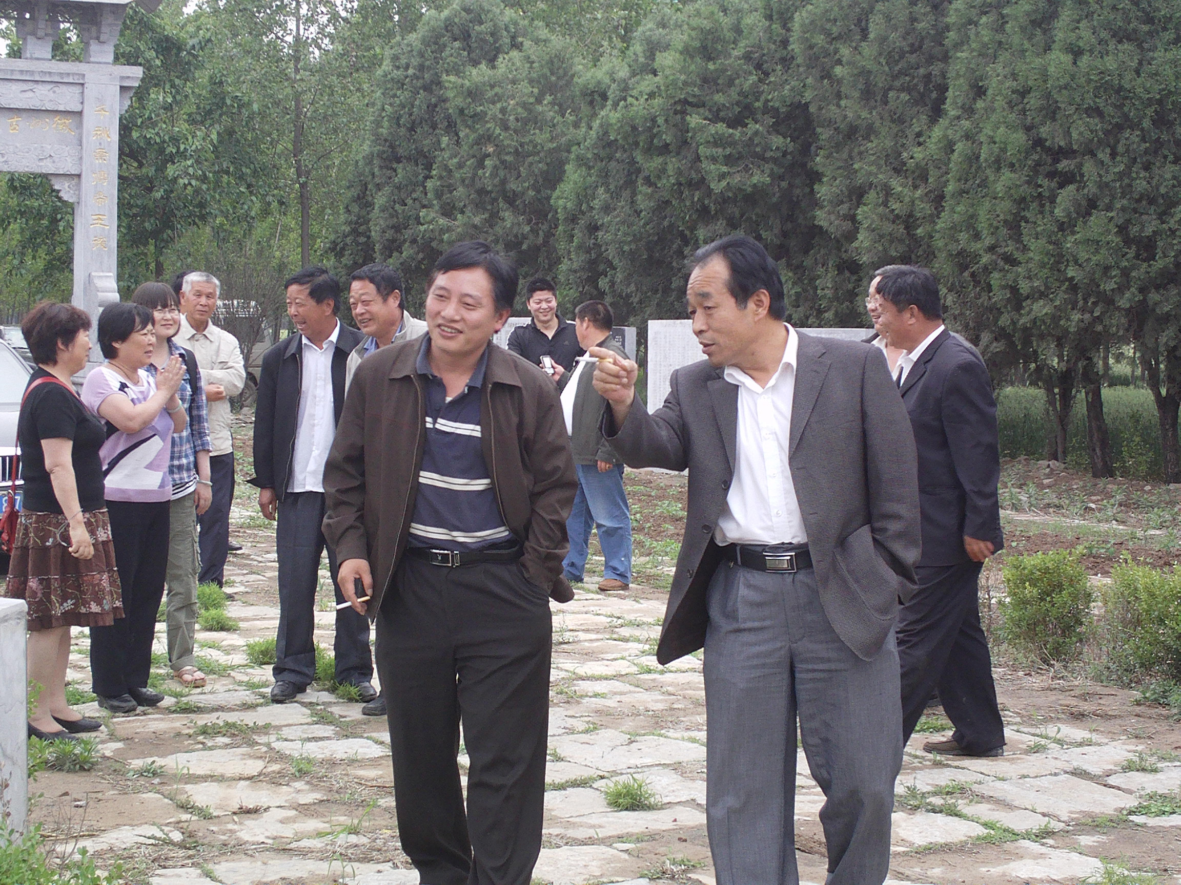 大风在松林傍照