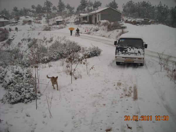 道生踏雪北上图